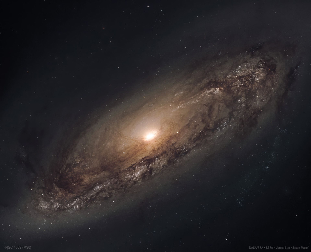Spiral Beauty