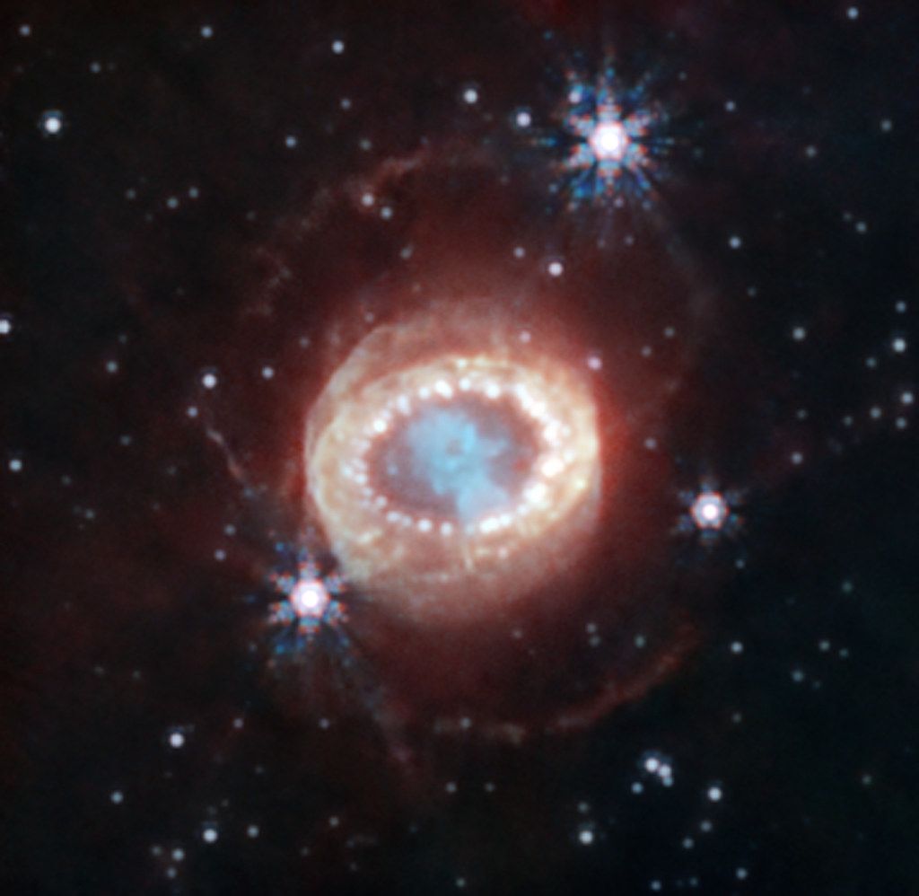 Supernova closely resembling a jellyfish