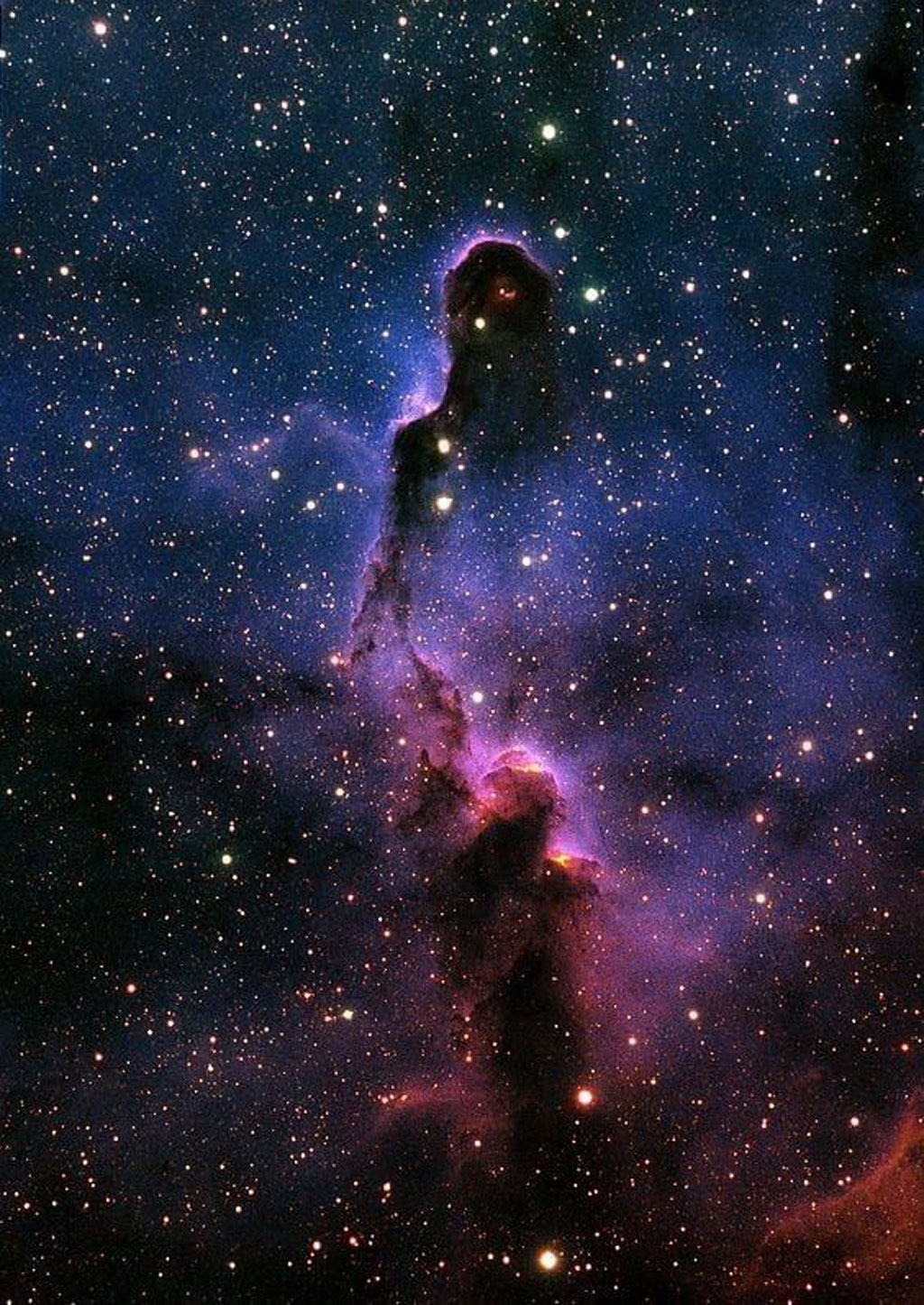 Elephant Nebula