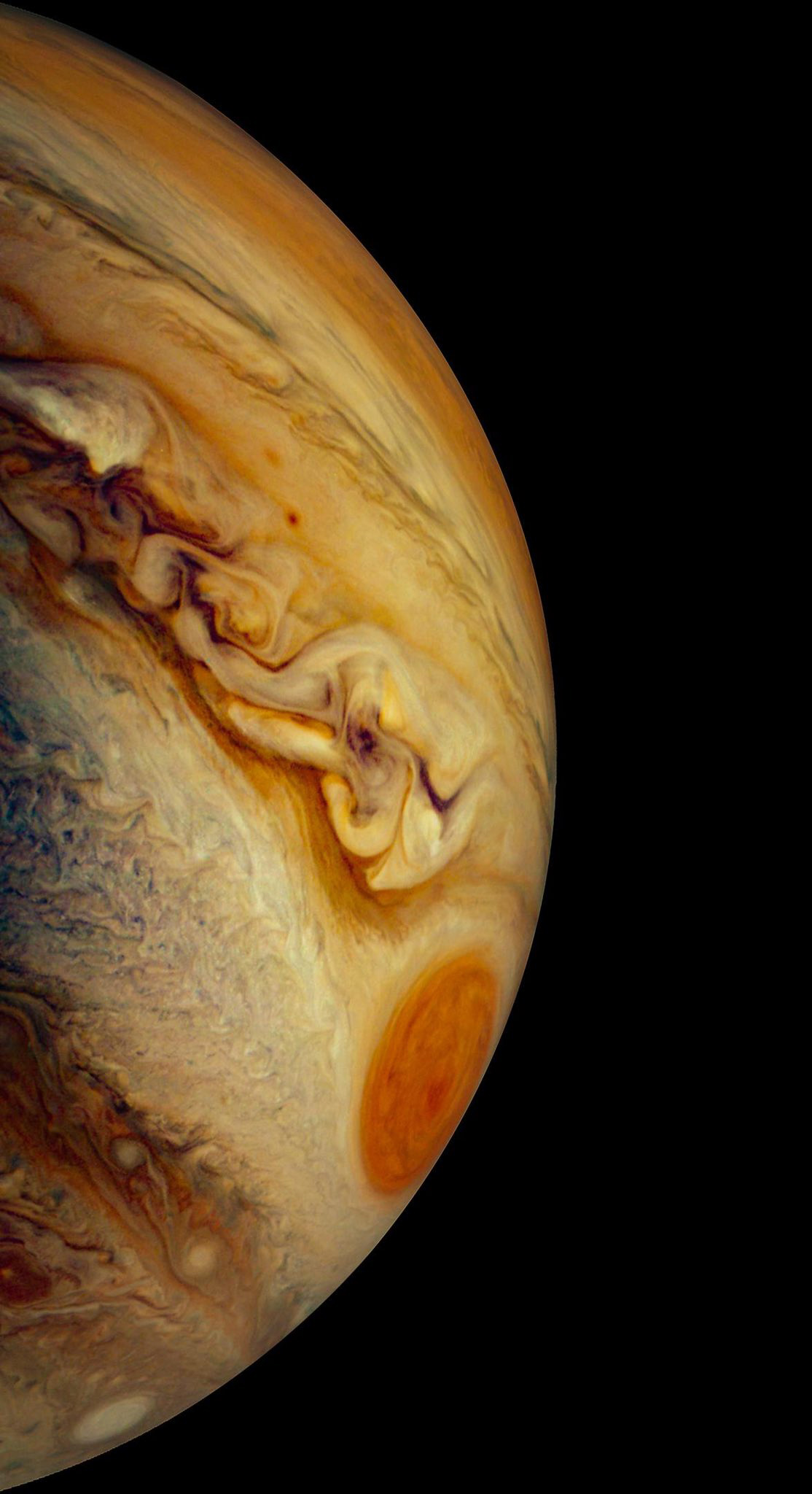 Juno's view of Jupiter's south temperate belt