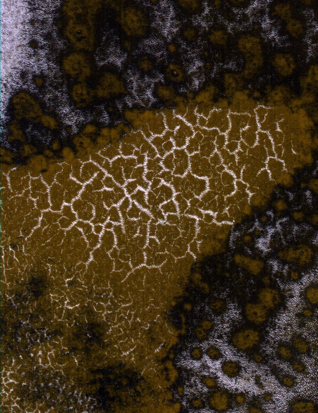 Carbon Dioxide Frost on Mars