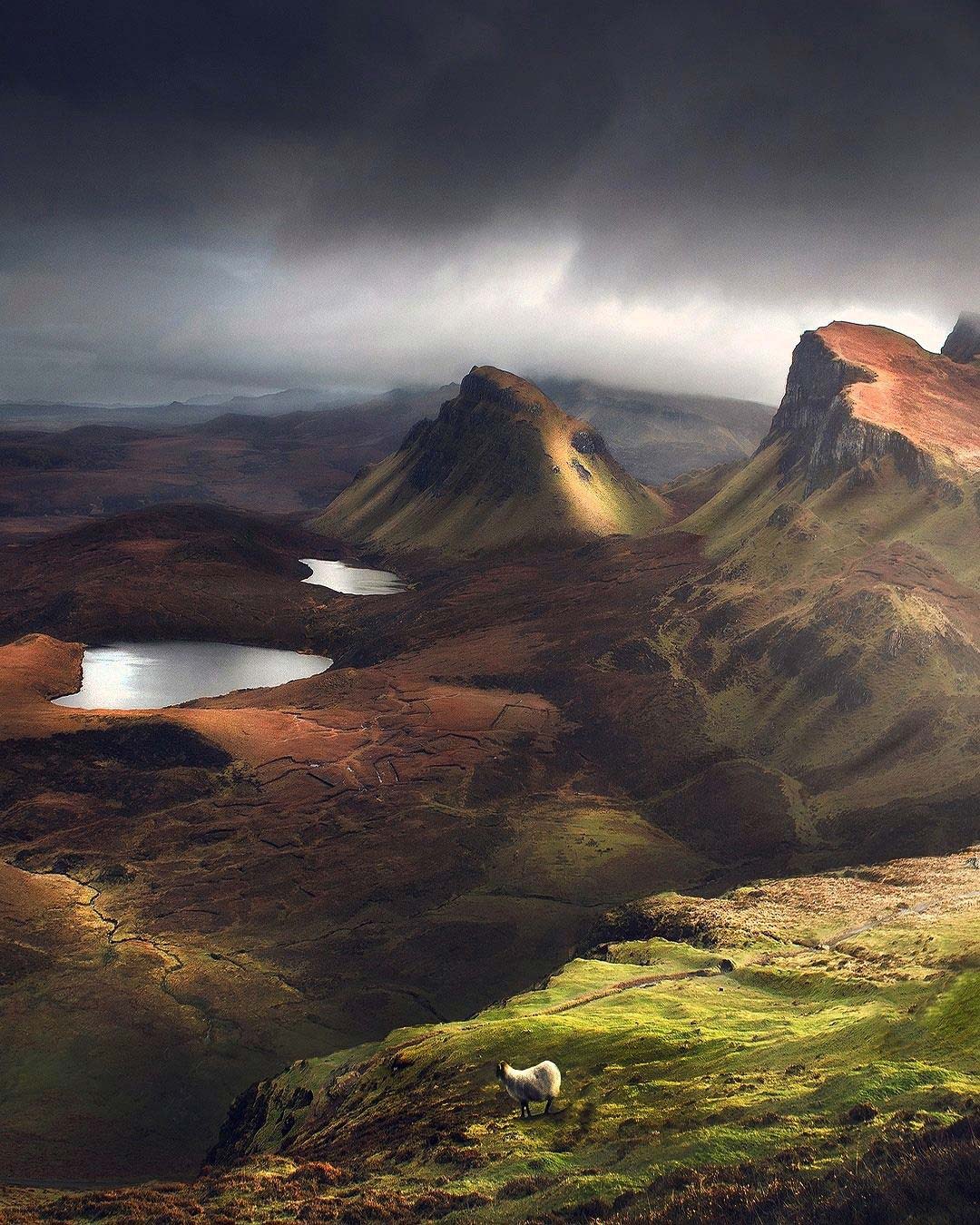 Scottish Beauty