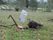 Sutter Mill meteorite fragments collected