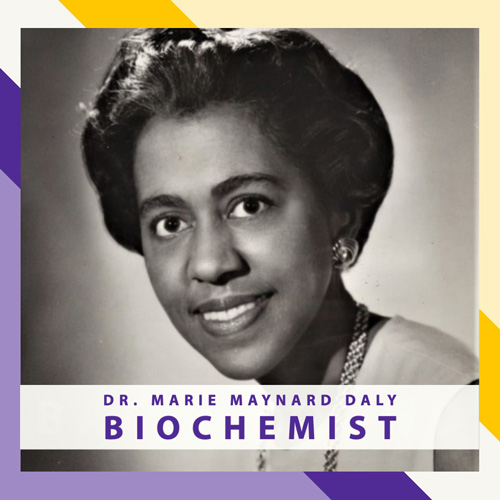 Marie Maynard Daly