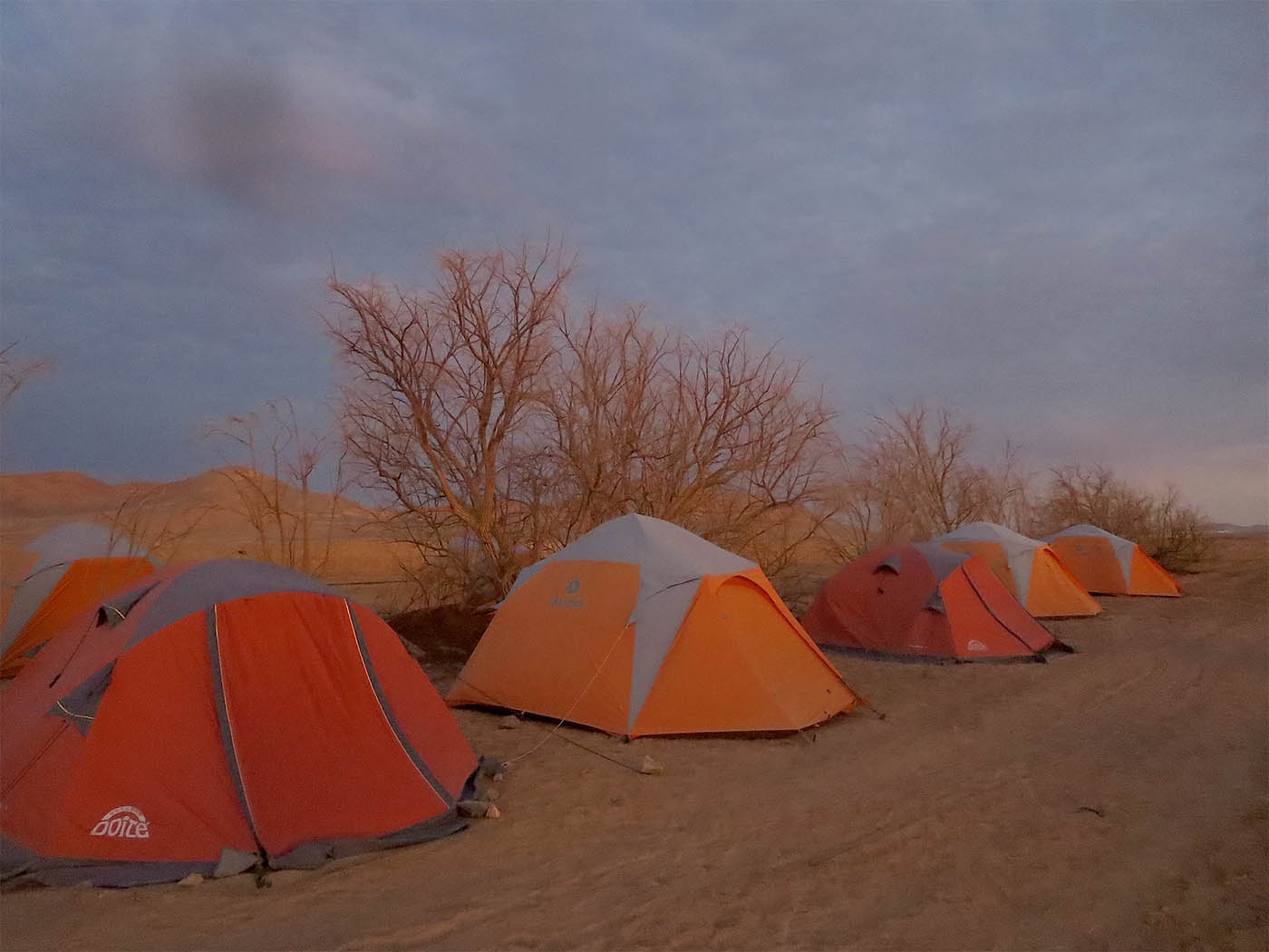 Camp Sunset