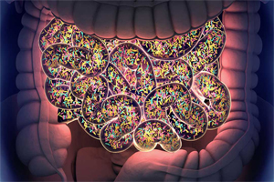stomach and microbes