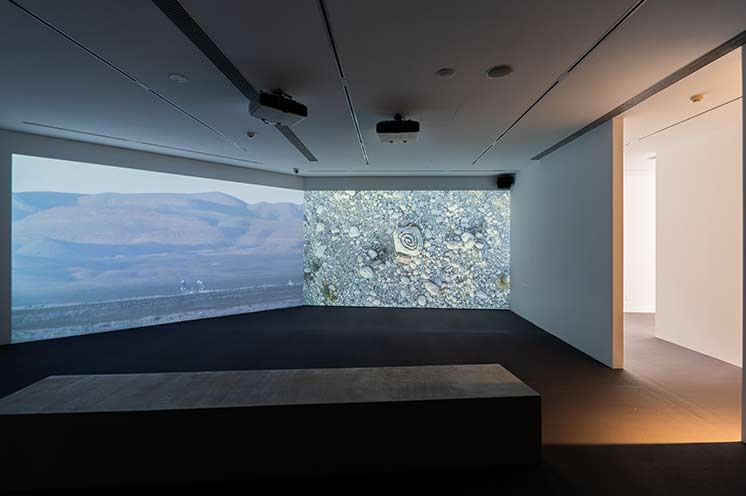 Xin Liu the Ground is Falling 2