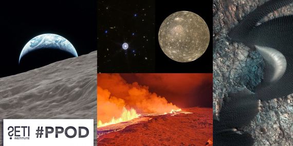 PPOD Collage