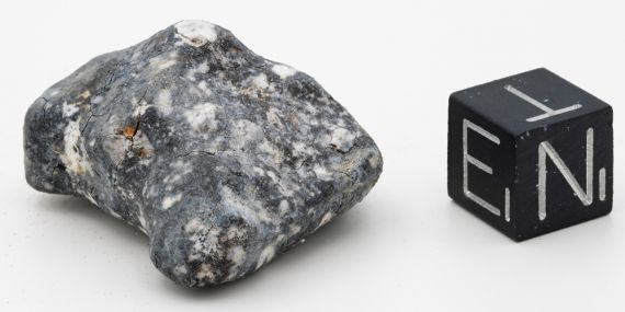 Aubrite meteorite from asteroid 2024 BX1