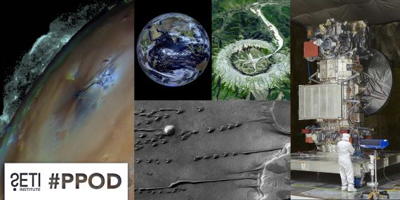 Collage of this week's PPOD