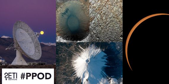 PPOD Collage
