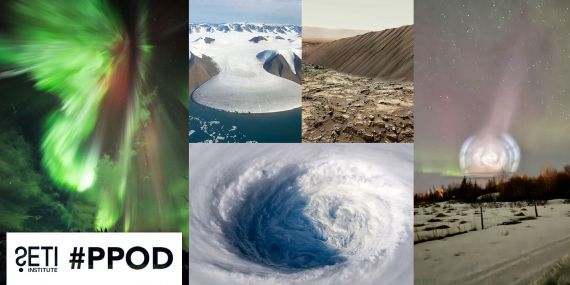PPOD Collage