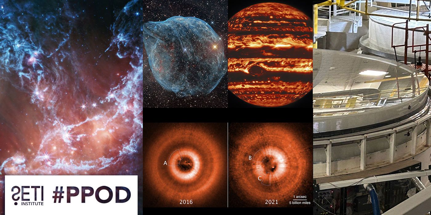 PPOD Collage