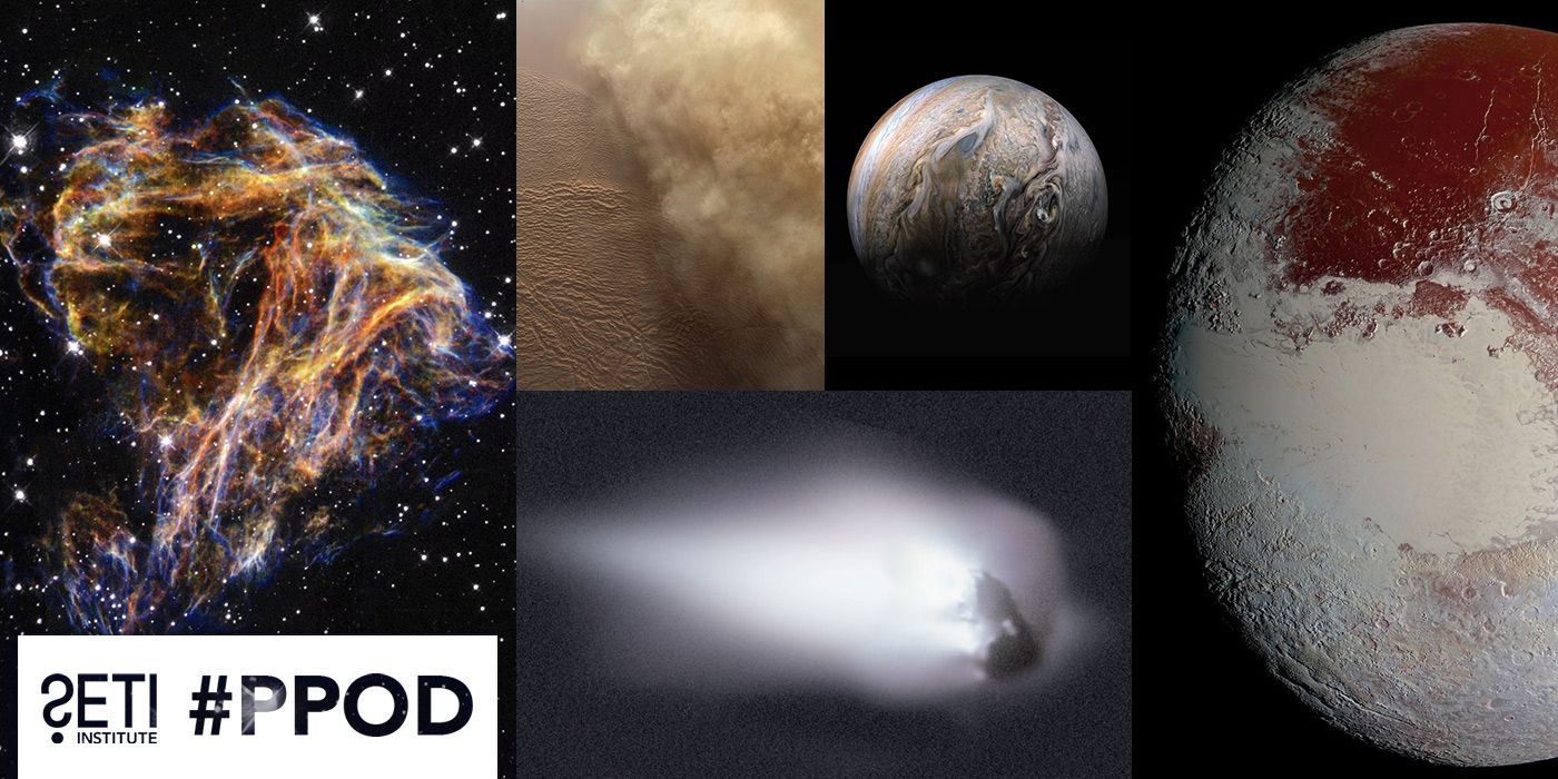 Collage of this week's PPOD