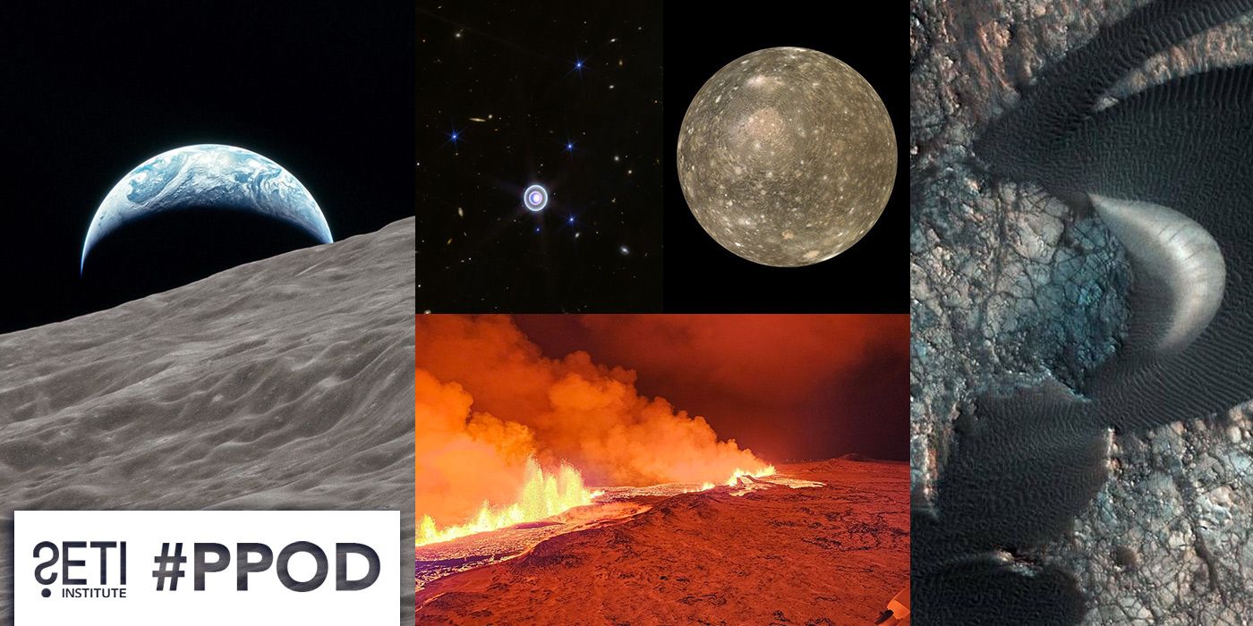 PPOD Collage