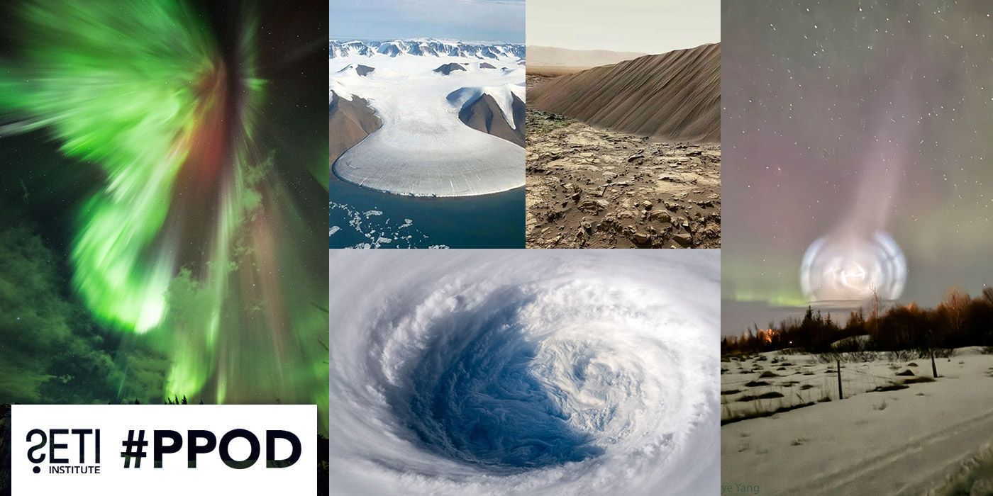 PPOD Collage