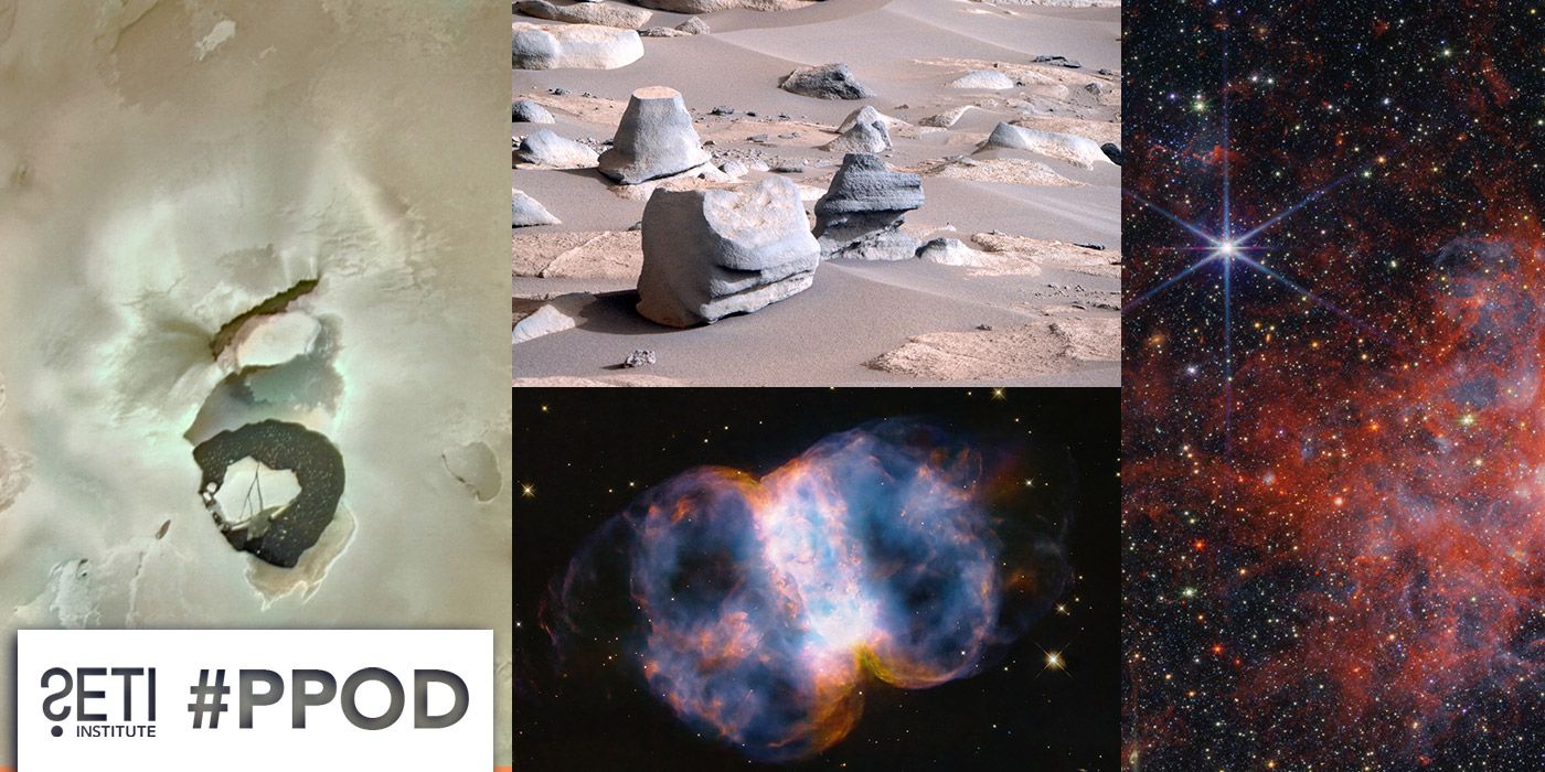 PPOD Collage