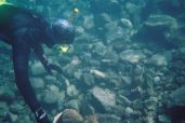 Diving in Lassen