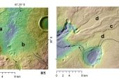 Hargitai et al 2018 Fig. 006