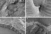 Hargitai et al 2018 Fig. 008