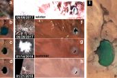 Hargitai et al 2018 Fig. 009