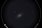 M64