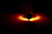 Circumstellar disk around star HD 117214 