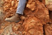 North Pole stromatolites 