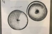 IMG 206