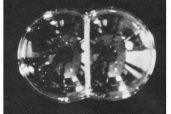 Web-vp-4