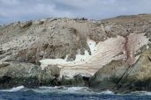 December 5, 2021 - Penguins on Island