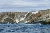 December 5, 2021 - Penguins on Island