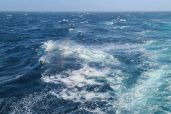 December 7, 2021 - Ocean