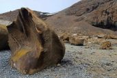 December 9, 2021 - Rock