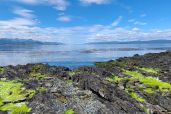 Elephant Island