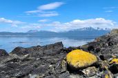 Elephant Island