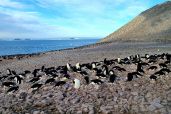 Paulete Island