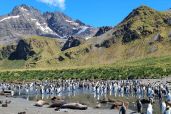 December 2. 2021 - Penguins