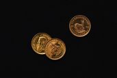 Items in the Library of the Great Silence: Gold Coins