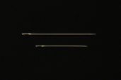 Items in the Library of the Great Silence: Needle