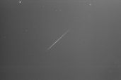 18-Aquariids from the CAMS California stations at Lick Observatory (K. Chloros) and in Windsor (T. Beck). Photo: P. Jenniskens/SETI Institute.