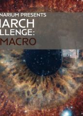 Art Imaginarium: Micro-Macro